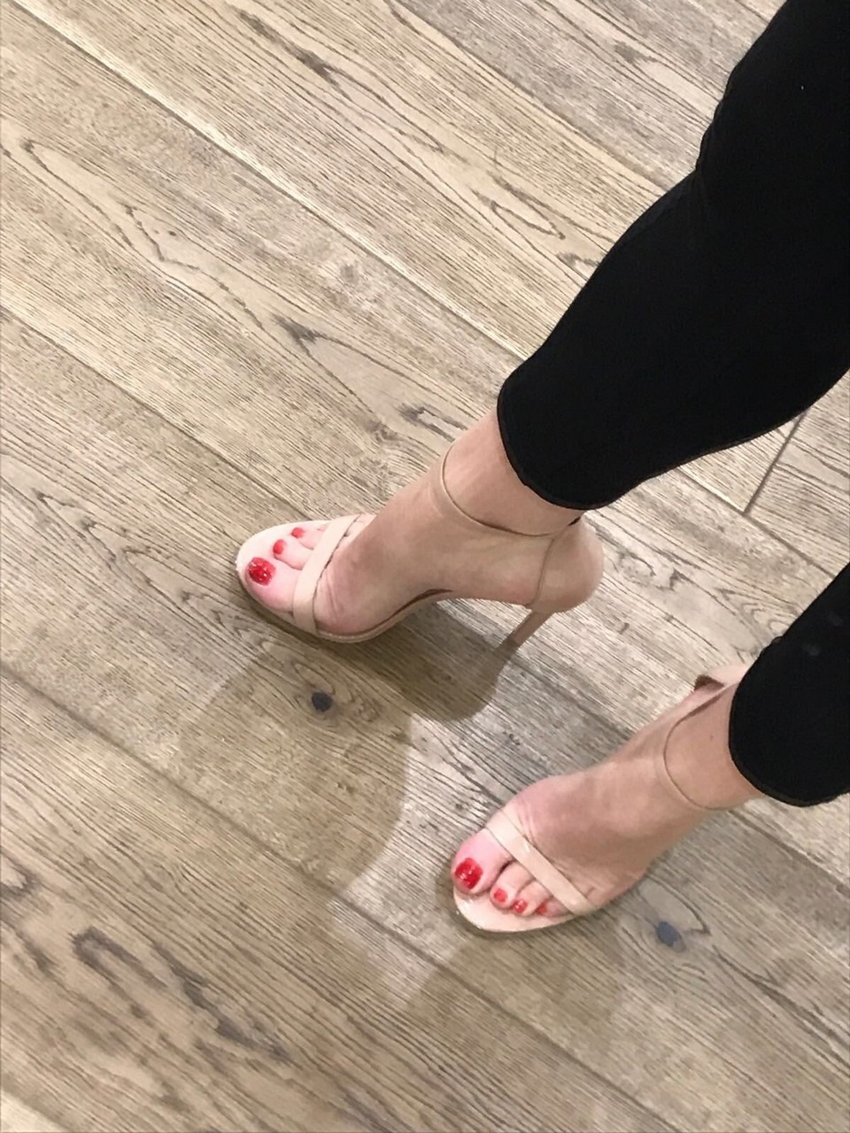 Lexi Sindel Feet