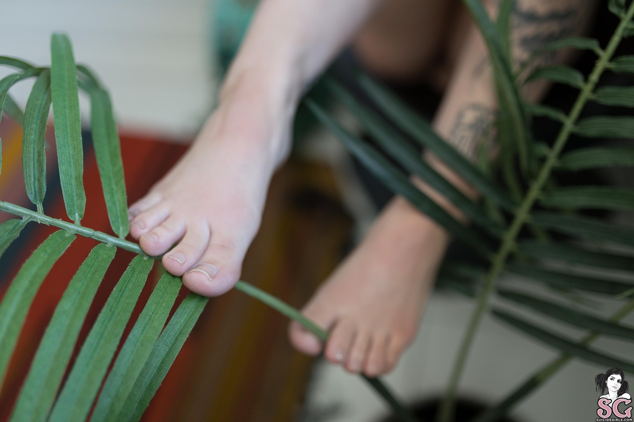 Linley Suicide Feet