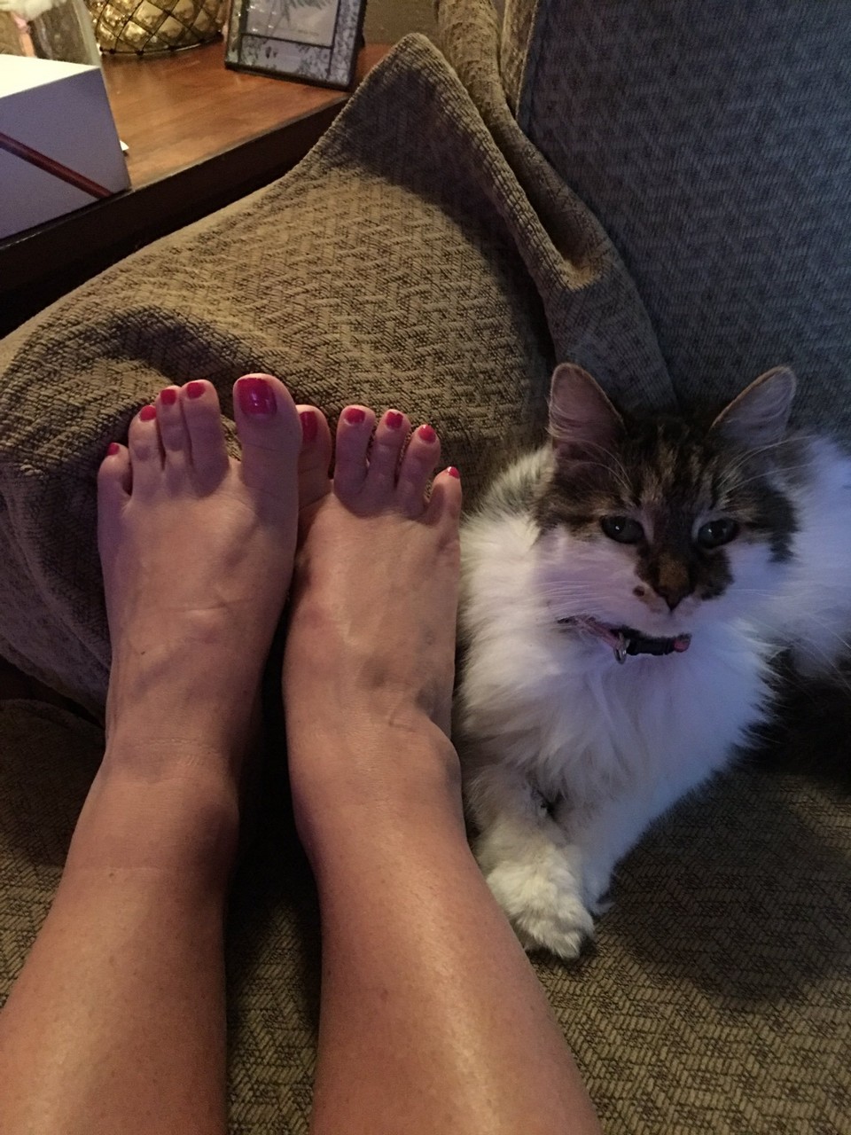 Mizz Shutters Feet